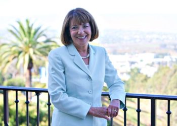 Rep. Davis: Time for the Senate to act on gun violence