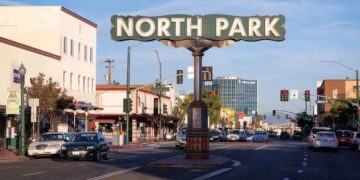 Letter to the Editor