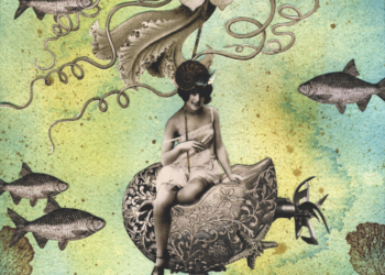 Artist Profile: Winona Cookie