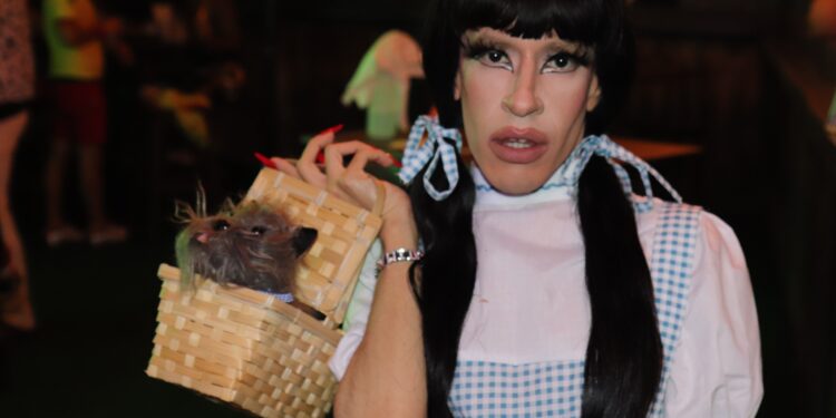 Halloween in Hillcrest