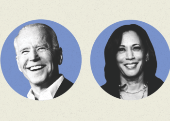 2020 Election Update