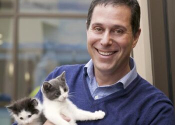 Are You Being the Best Pet Parent You Can Be?