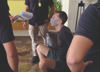 A Cock-A-Doodle-Doo Halts Court Proceedings