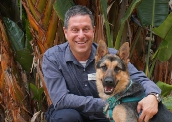 Five Ways to Celebrate National Dog Day