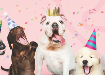 Paws 4 Thought Animal Rescue Celebrates 5 Year Anniversary