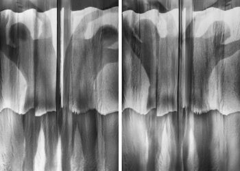 Artist Profile: C Fodoreanu