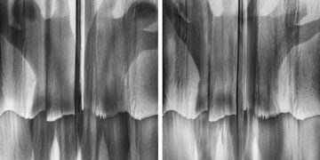 Artist Profile: C Fodoreanu