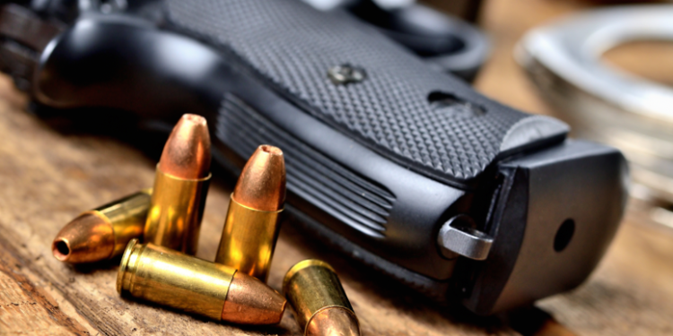 Removing Guns to Protect Domestic Violence Survivors Your Safe Place – A Family Justice Center