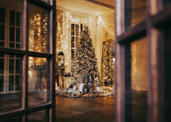 Coming Out During the Holidays or Not?