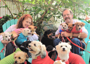 Few Things are as Magical as Helping Rescue Dogs… While Eating Birthday Cake! You Can Happily do Both!