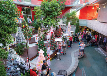 How Christmas Trees Touch The Lives Of Those Living With Hiv/Aids