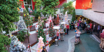 How Christmas Trees Touch The Lives Of Those Living With Hiv/Aids