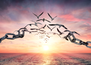 Forgiving Our Fathers