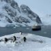 An Antarctic Adventure with Atlas Ocean Voyages