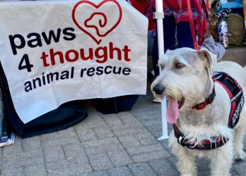 Pet Adoption Event This Saturday