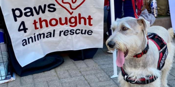 Pet Adoption Event This Saturday