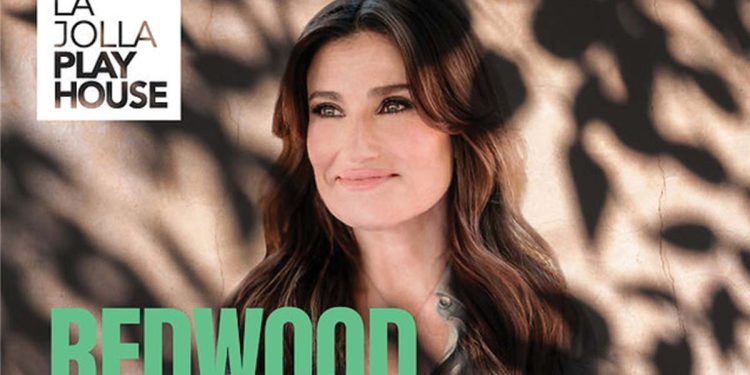 Idina Menzel still ‘defying gravity’ in brand new work at LJ Playhouse